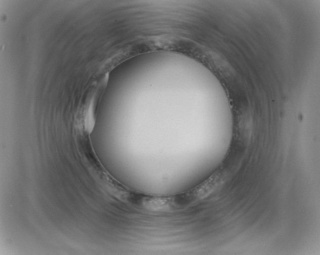 X0000081280129200701251637