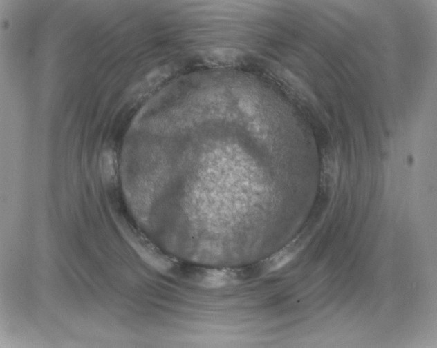 X0000081280130200701251637