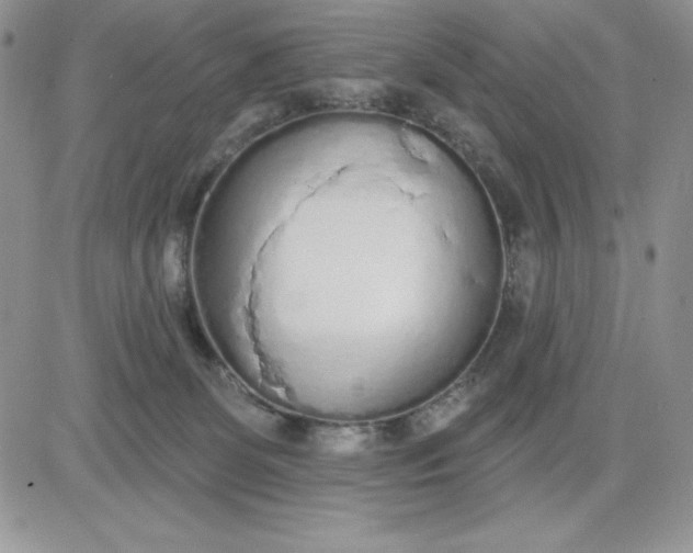 X0000081280131200701251637