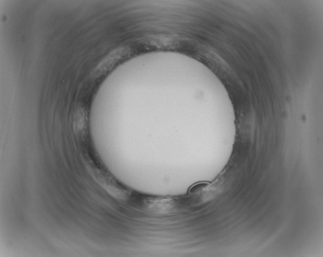 X0000081280132200701251637