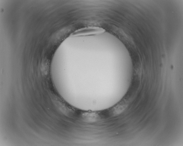 X0000081280133200701251637