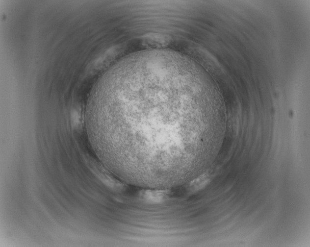 X0000081280134200701251637