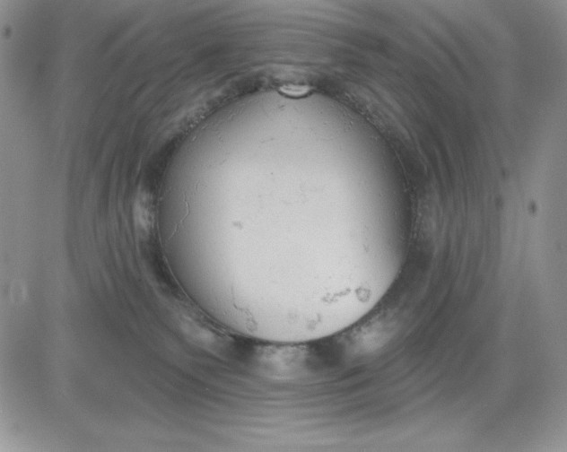 X0000081280135200701251637