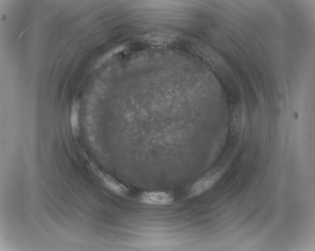 X0000081280137200701251637