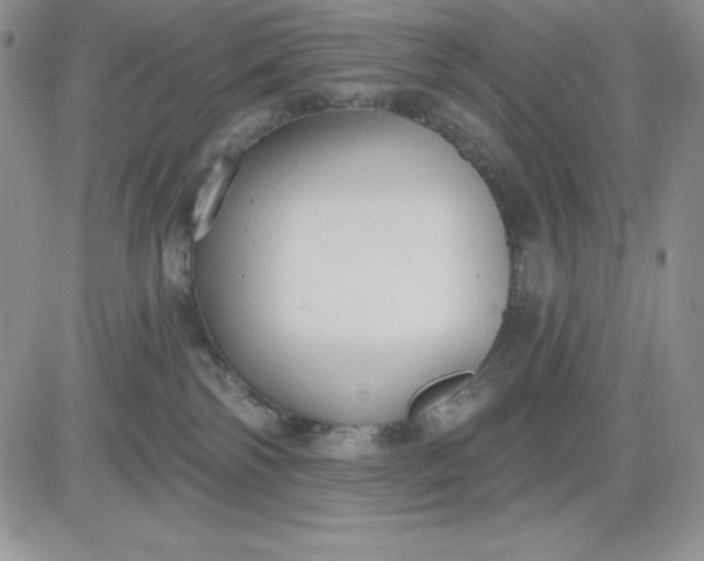 X0000081280138200701251637