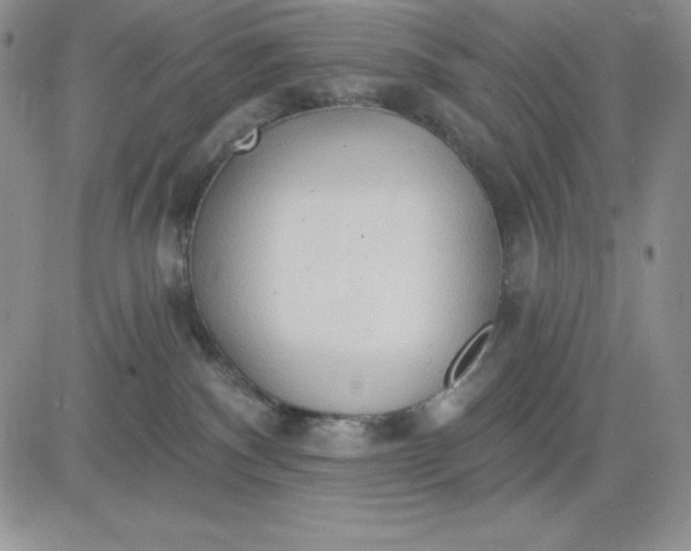 X0000081280140200701251637