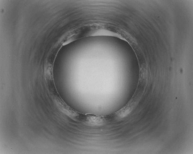 X0000081280141200701251637