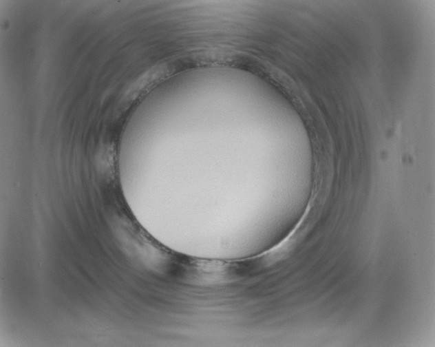 X0000081280144200701251637