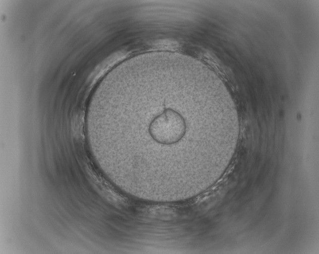 X0000081280146200701251636