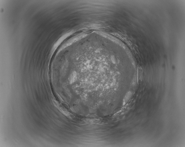 X0000081280147200701251636