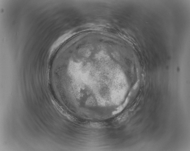 X0000081280149200701251636