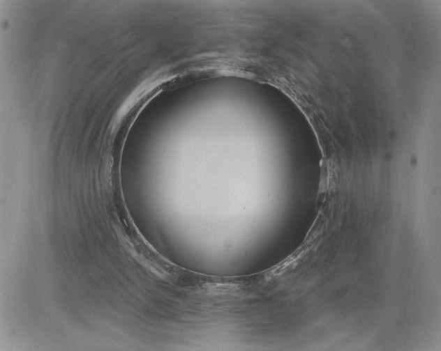 X0000081280150200701251636