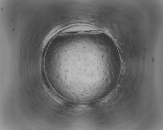 X0000081280151200701251636