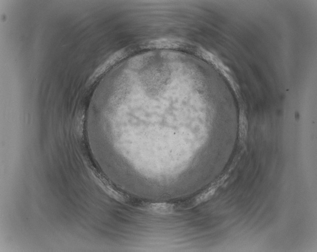 X0000081280153200701251636