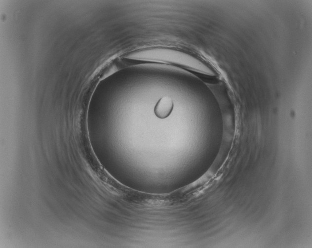 X0000081280154200701251636