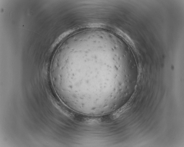 X0000081280155200701251636