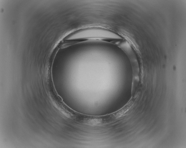 X0000081280156200701251636