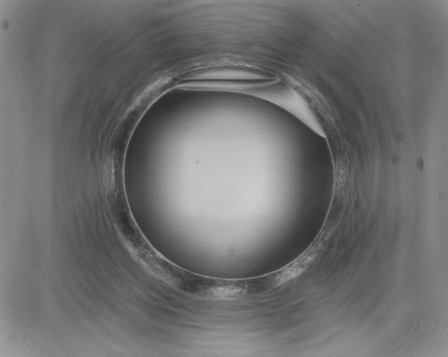 X0000081280158200701251636