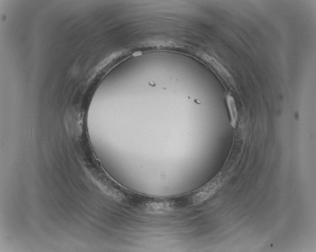 X0000081280160200701251637