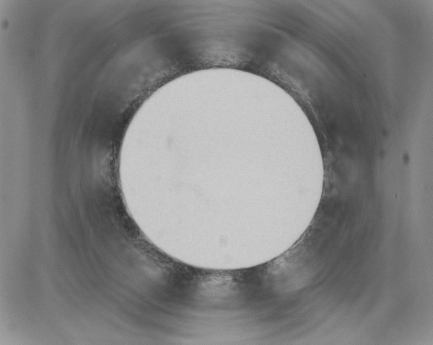 X0000081280162200701251637