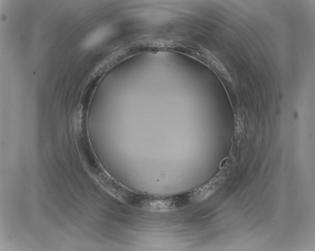 X0000081280163200701251637