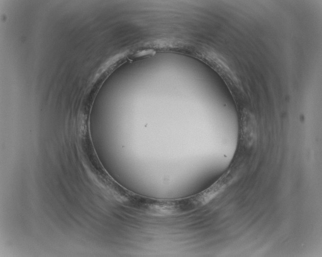 X0000081280164200701251637