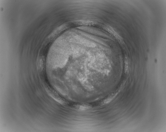 X0000081280165200701251637