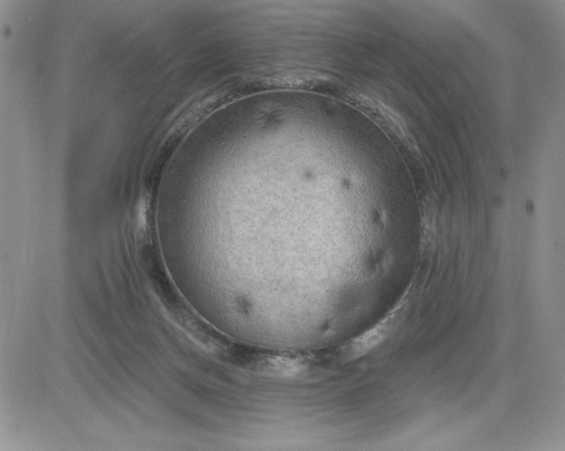 X0000081280166200701251637