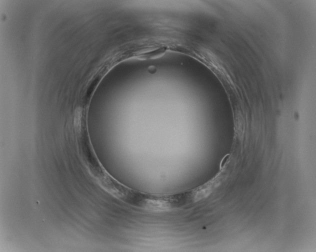 X0000081280167200701251637