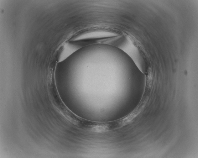 X0000081280168200701251637