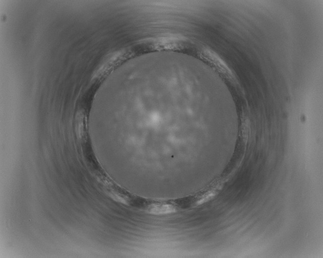 X0000081280169200701251637