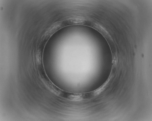 X0000081280170200701251637