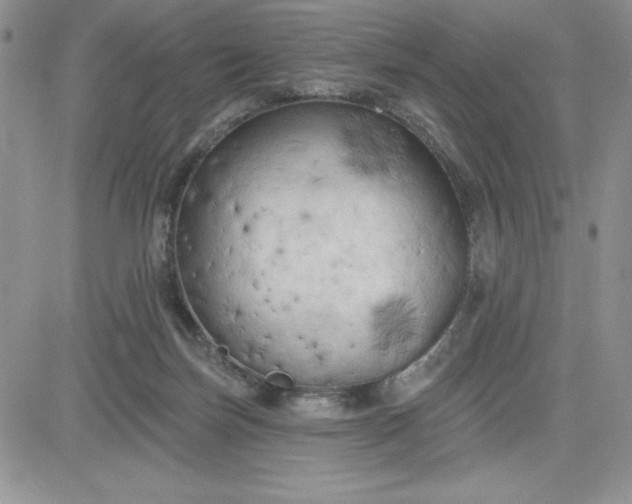 X0000081280171200701251637