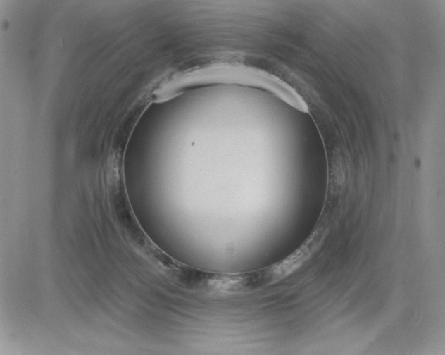 X0000081280172200701251637