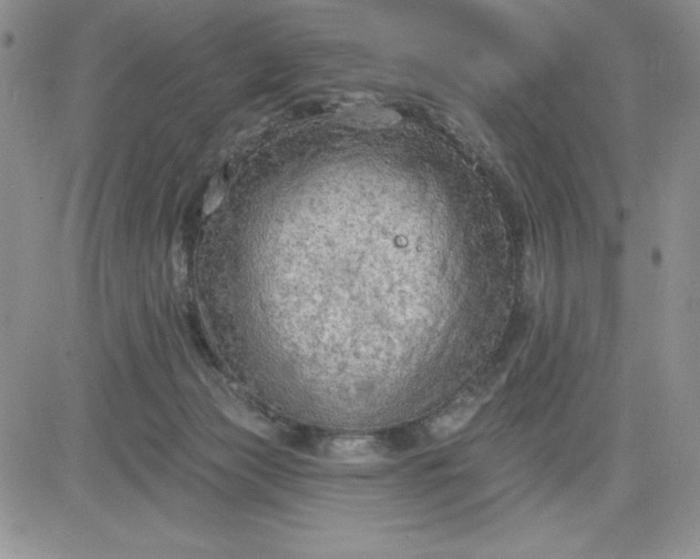 X0000081280173200701251637