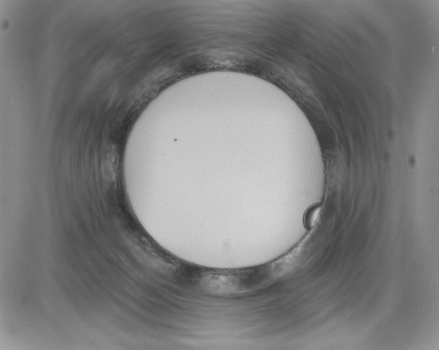 X0000081280174200701251637