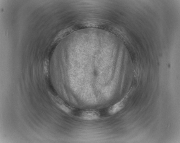 X0000081280175200701251637