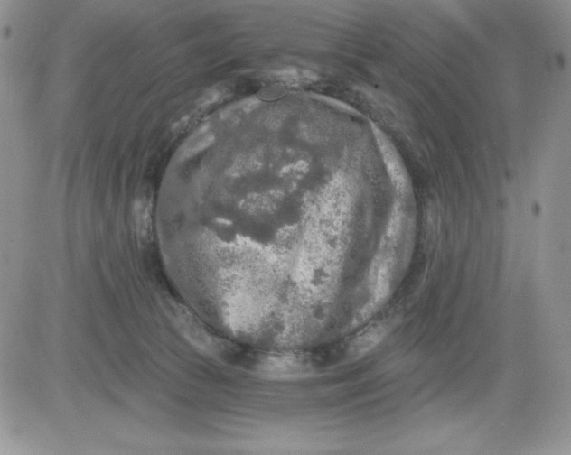 X0000081280177200701251637