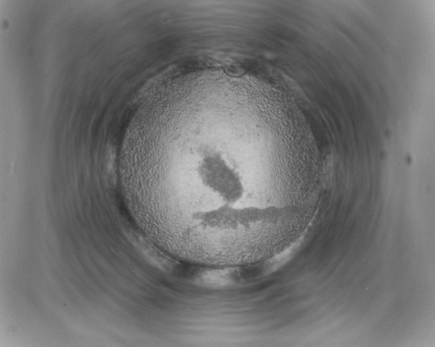 X0000081280178200701251637