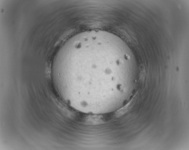 X0000081280179200701251637