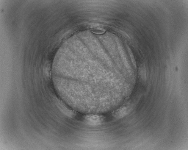 X0000081280181200701251637