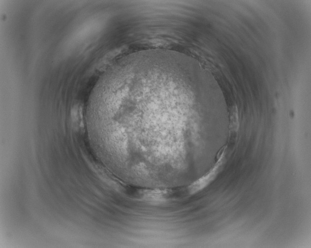 X0000081280182200701251637