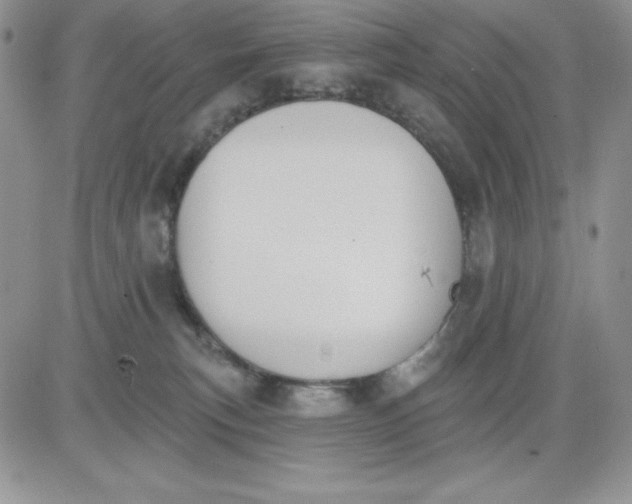 X0000081280183200701251637