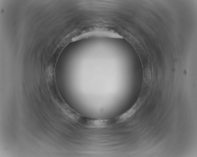 X0000081280184200701251637