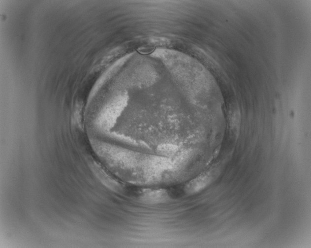 X0000081280185200701251637