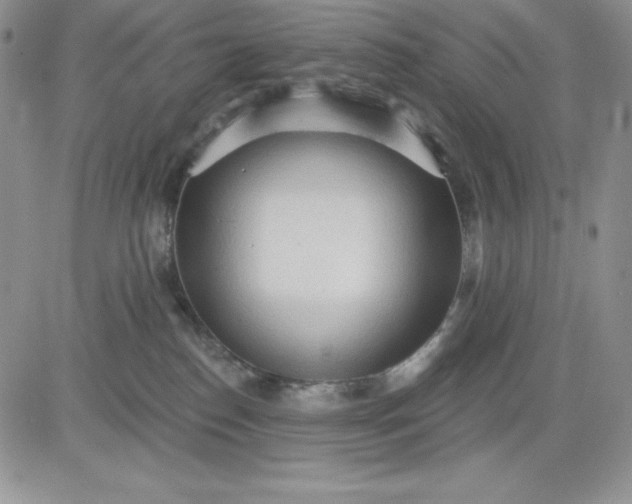 X0000081280186200701251637