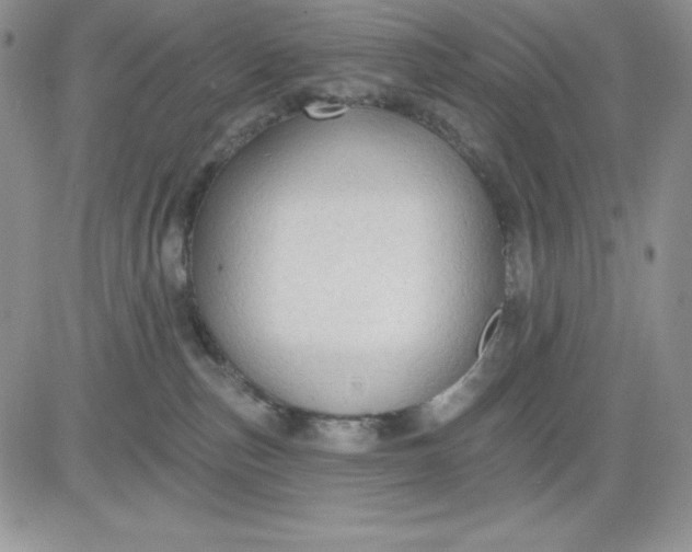 X0000081280187200701251637