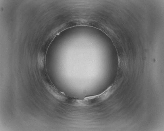 X0000081280188200701251637