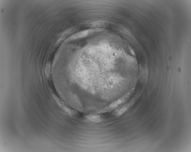 X0000081280189200701251637