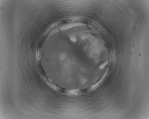 X0000081280191200701251637